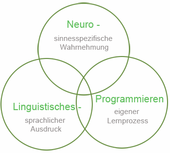 NLP, Graphische Darstellung der Komponenten des "Neurolinguistischen Progammierens"